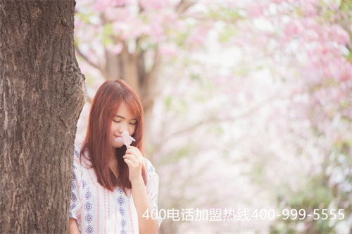 (400電話申請服務(wù)商選什么)(400電話辦理怎樣選擇代理商？應(yīng)該以什么為依據(jù)？)