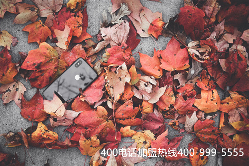(400電話哪里辦理正規(guī))(400電話辦理申請哪家公司比較好)