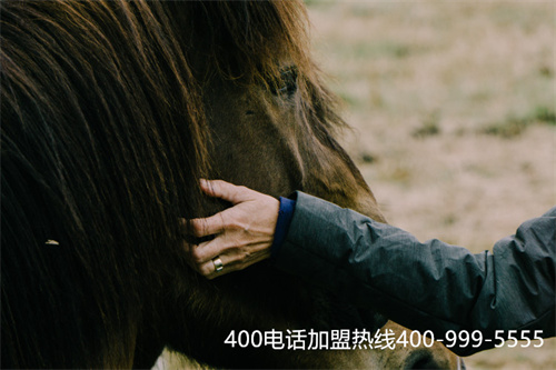 (有沒有必要辦理400電話)(400電話申請如何找靠譜的公司？得看公司這幾點(diǎn))