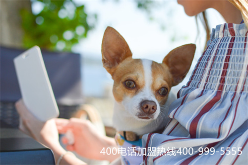 (怎樣申請400開頭的客服電話)(如何申請400開頭電話要注意啥)