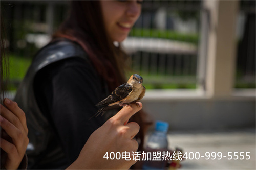 (400電話代理商怎么賺錢)(400電話一級(jí)代理商|服務(wù)商【對(duì)比】)